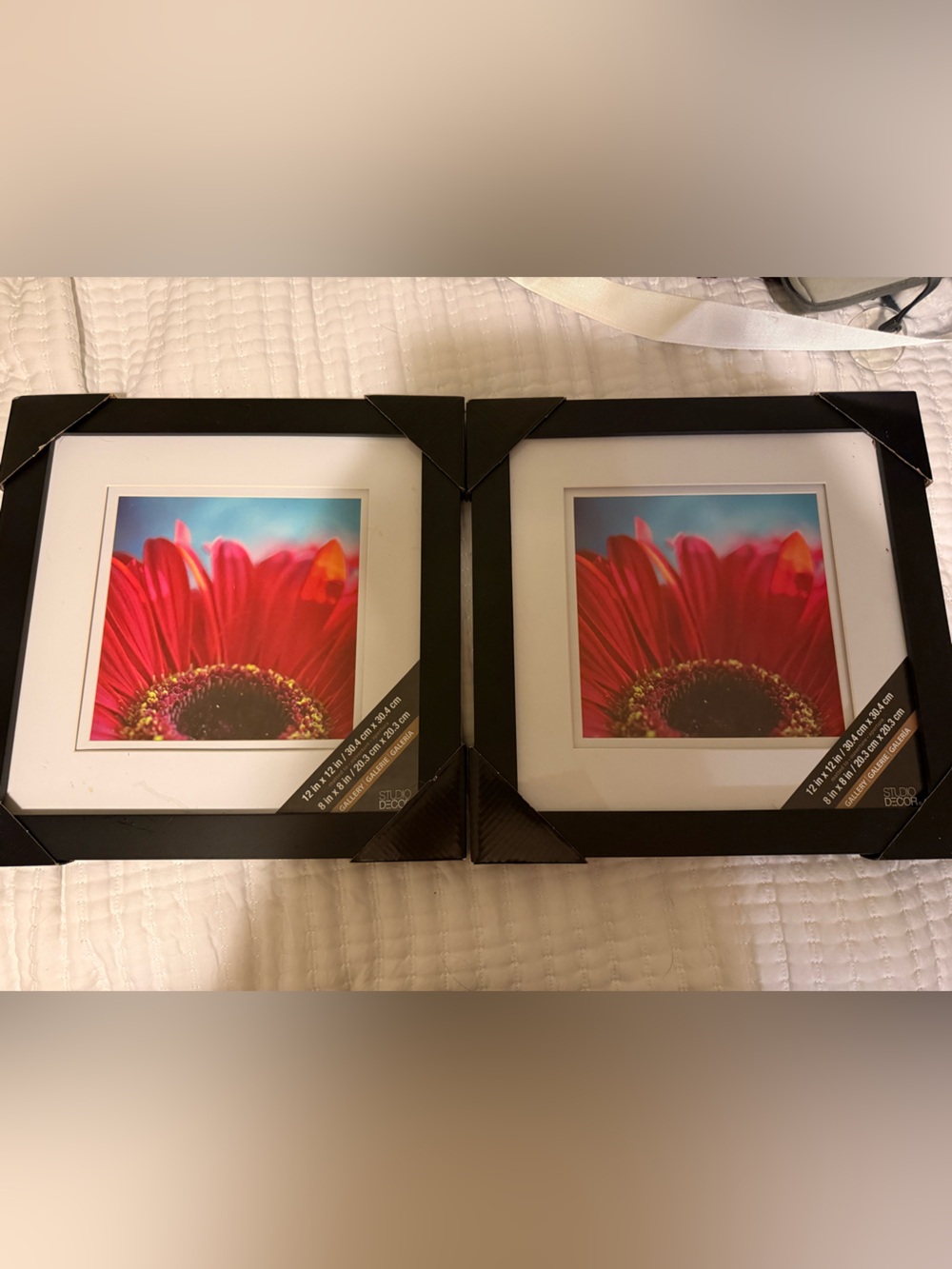 Brand New Black Double Square Photo Frames with Red Floral Print